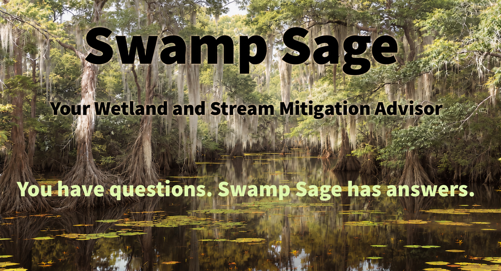 Swamp Sage. Your Wetland and Stream Mitigation Advisor.
                      You have questions. Swamp Sage has answers.
                      A wooded wetland reflected in still water.
